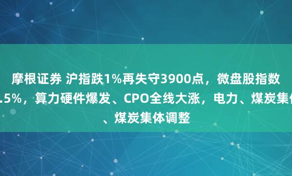 摩根证券 沪指跌1%再失守3900点,微盘股指数大跌3.5%,算力硬件爆发、CPO全线大涨,电力、煤炭集体调整